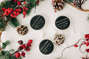 Holiday Season Wax Melt Bundle